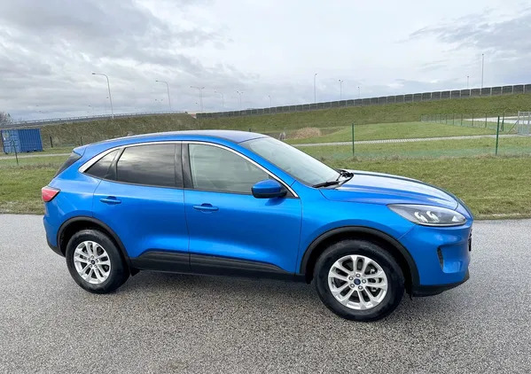 ford kuga skórcz Ford Kuga cena 76999 przebieg: 8000, rok produkcji 2019 z Skórcz